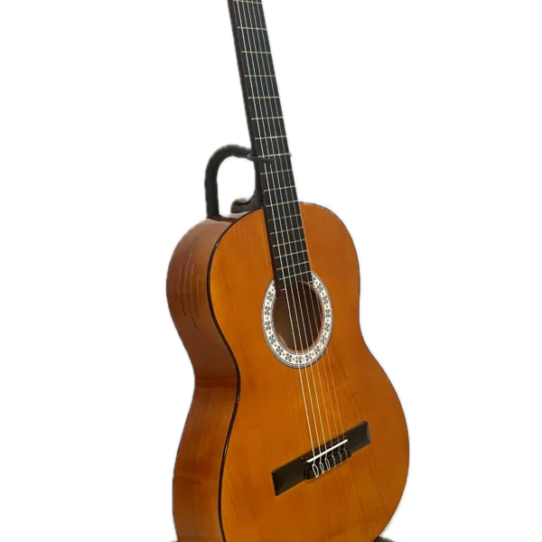 گیتار آدکین مدل F5