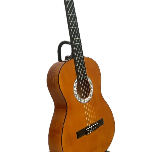 گیتار آدکین مدل F5