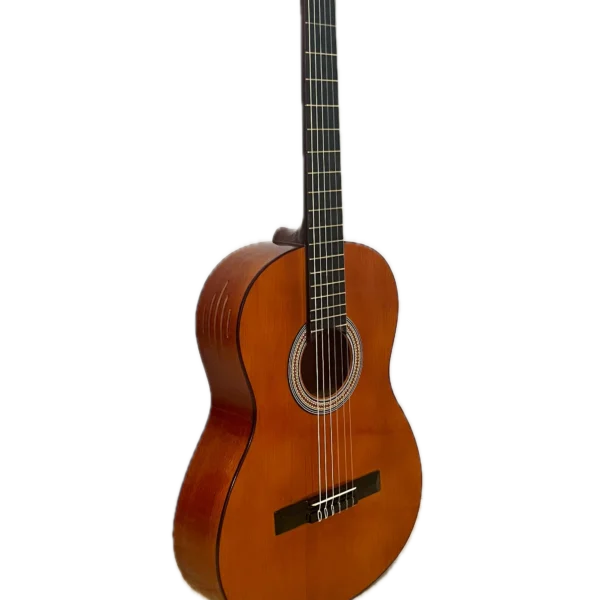 گیتار آدکین مدل F3