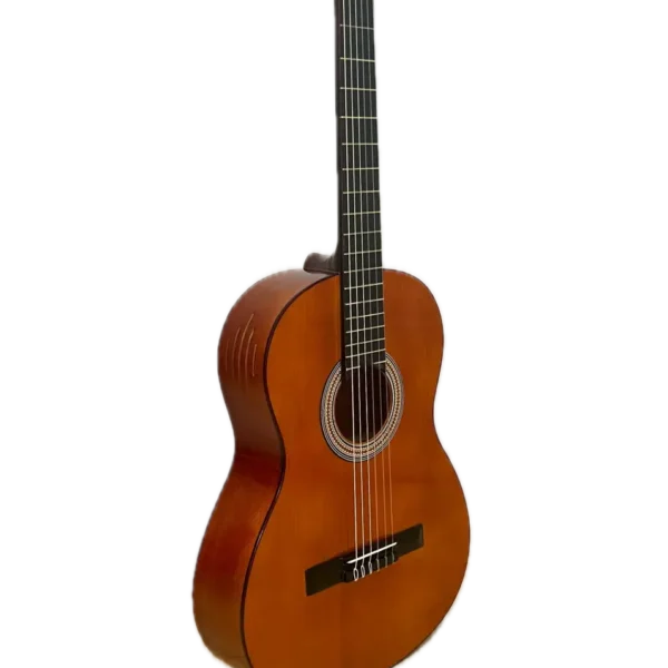 گیتار آدکین مدل F3