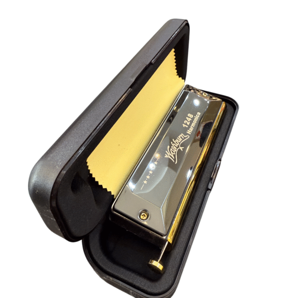 سازدهنی کروماتیک Washburn 1248